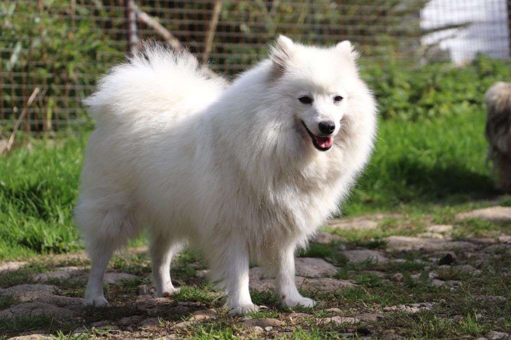 Saturne Vanora Jone's